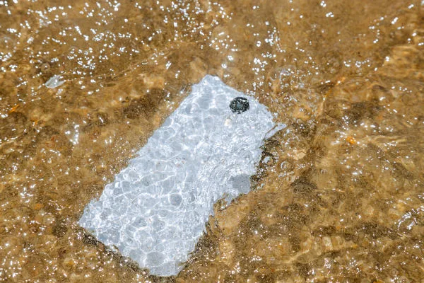 como reparar móvil mojado